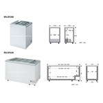 Tủ đông cửa trượt RueyShing RS-DF250